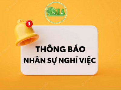 Announcement, Nguyen Thi My Dung, Ly Thuy Thuy Lieu, Ho Ngoc Duc. I,