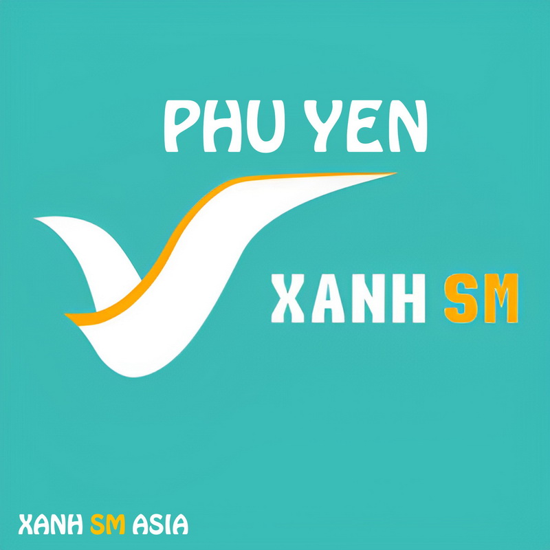 GSM officially operates the Xanh SM bus in Tuy Hoa, Phu Yen